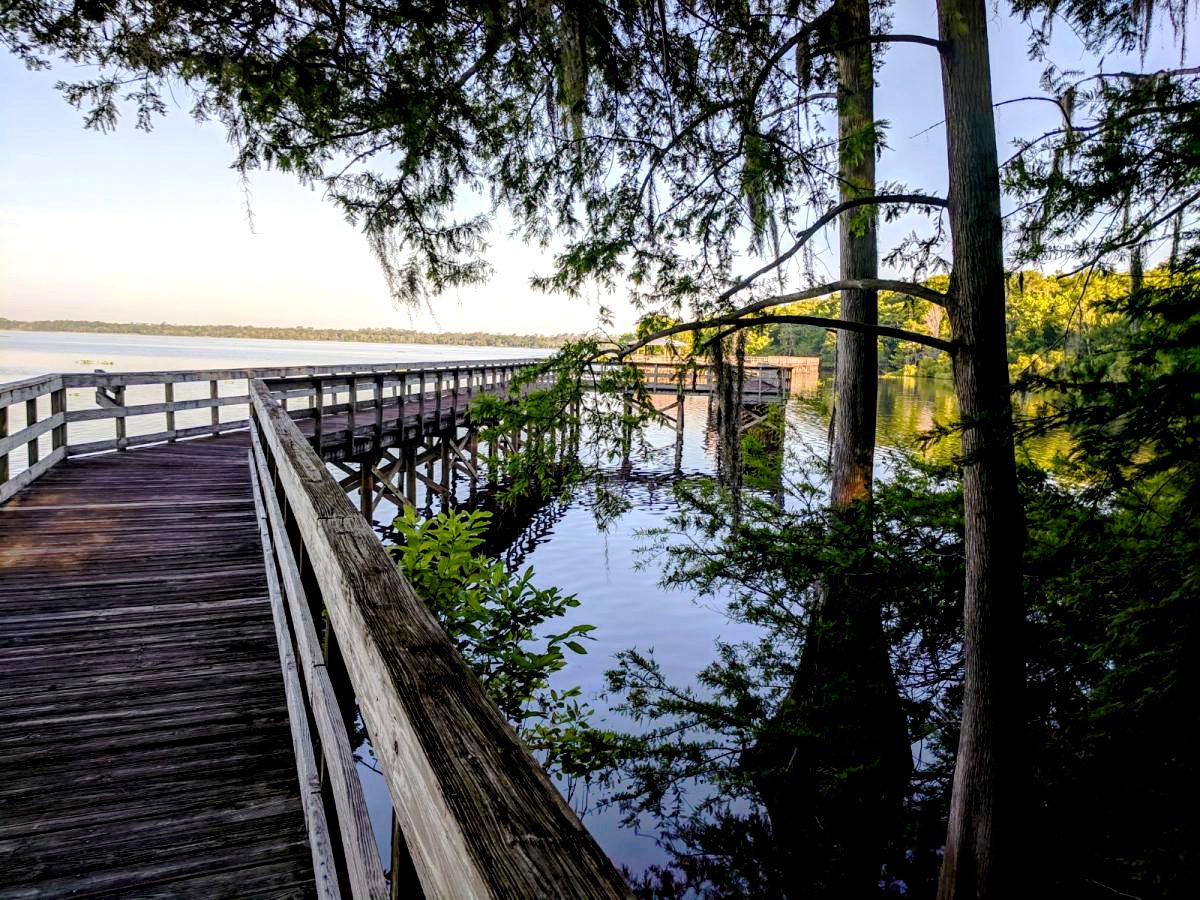 Top 5 Spots to See Wildlife 5 lake ashby