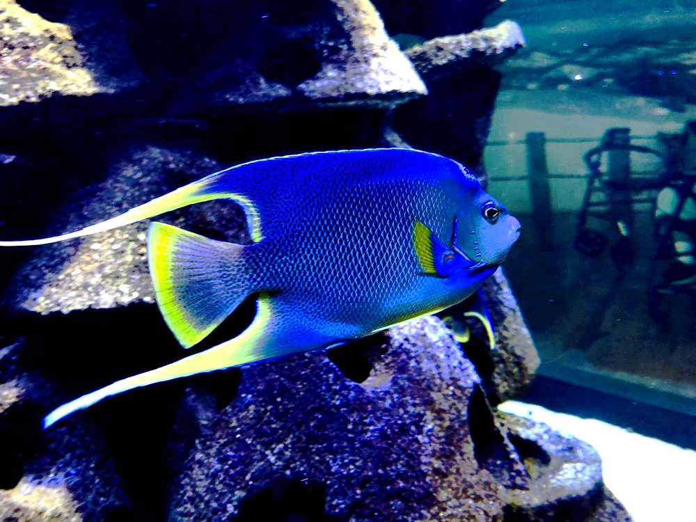 Top 5 Spots to See Wildlife 6 marine science center
