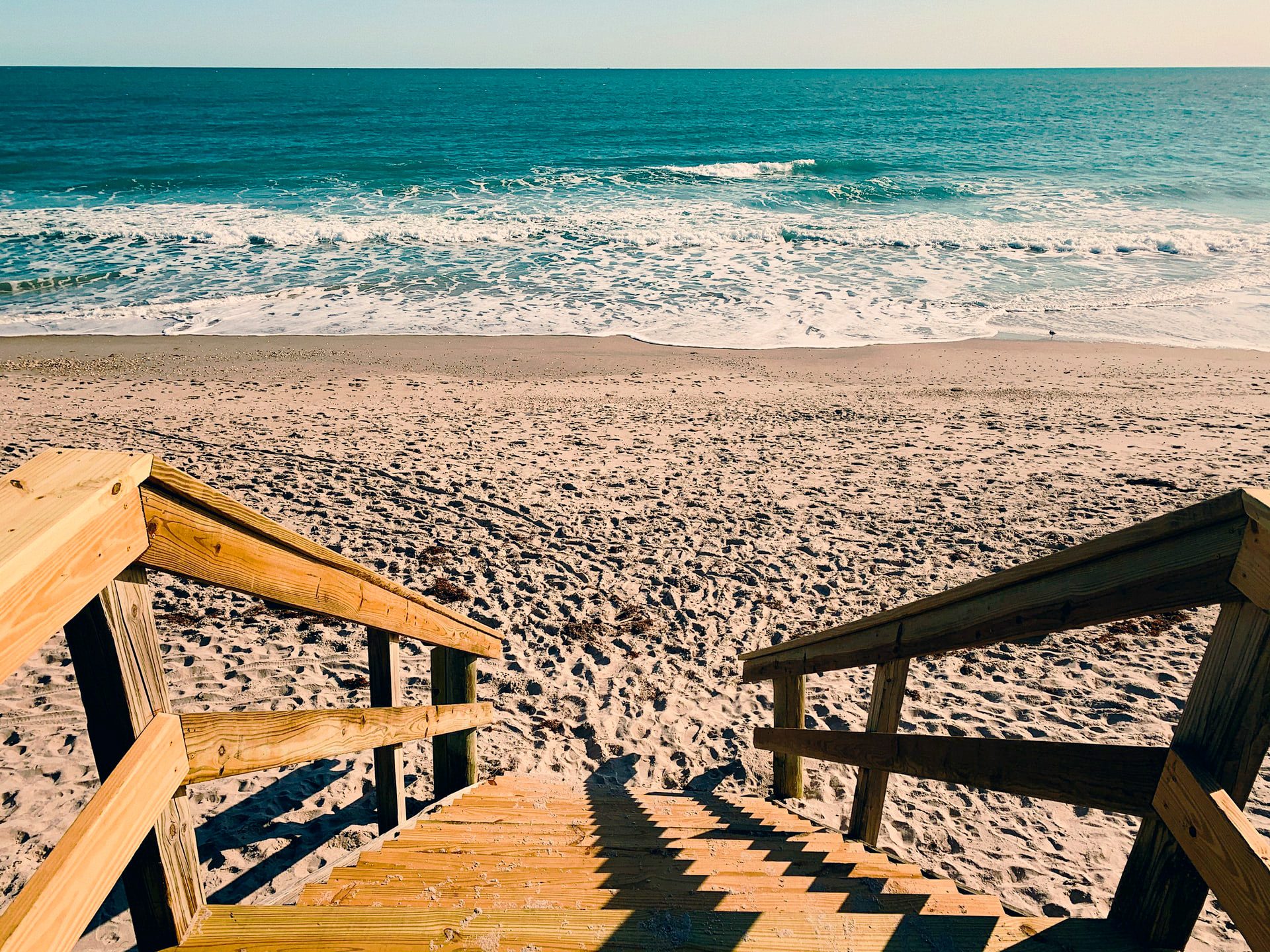 Top 5 Spots to See Wildlife 4 new smyrna beaches