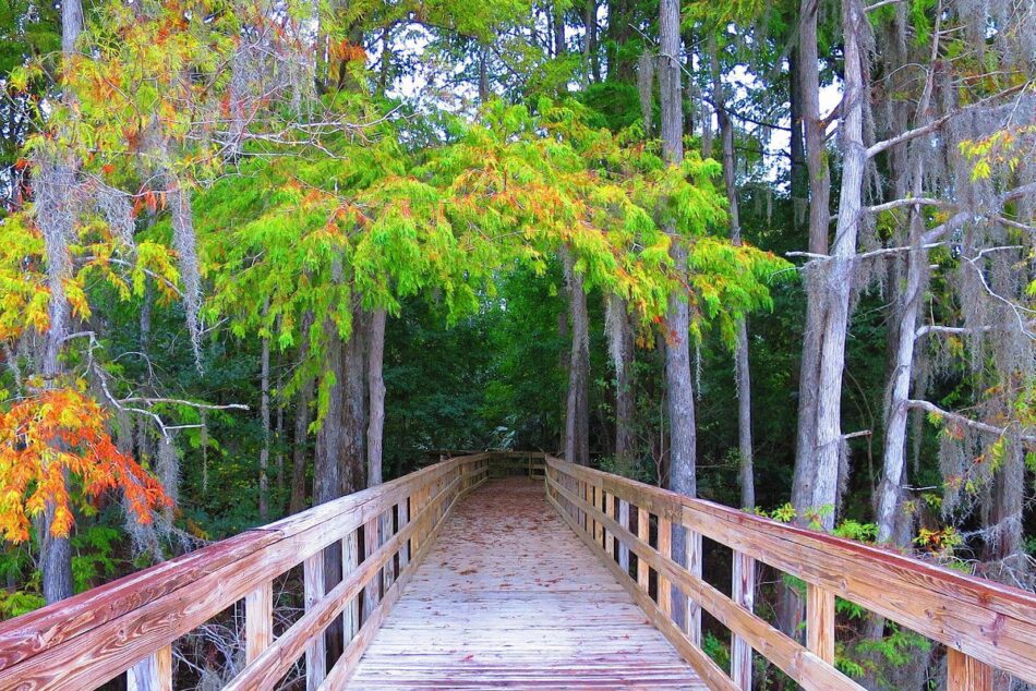 Explore Scenic Landscapes on Your Hiking Journey