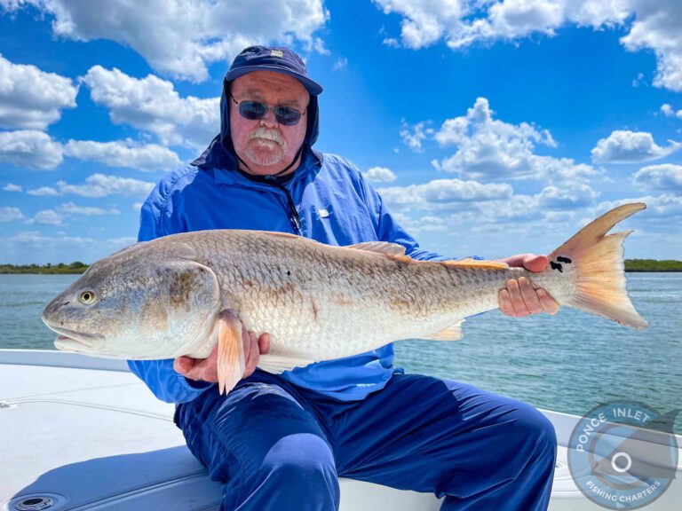 Captain Brad guiding a fishing charter in New Smyrna Beach Florida
