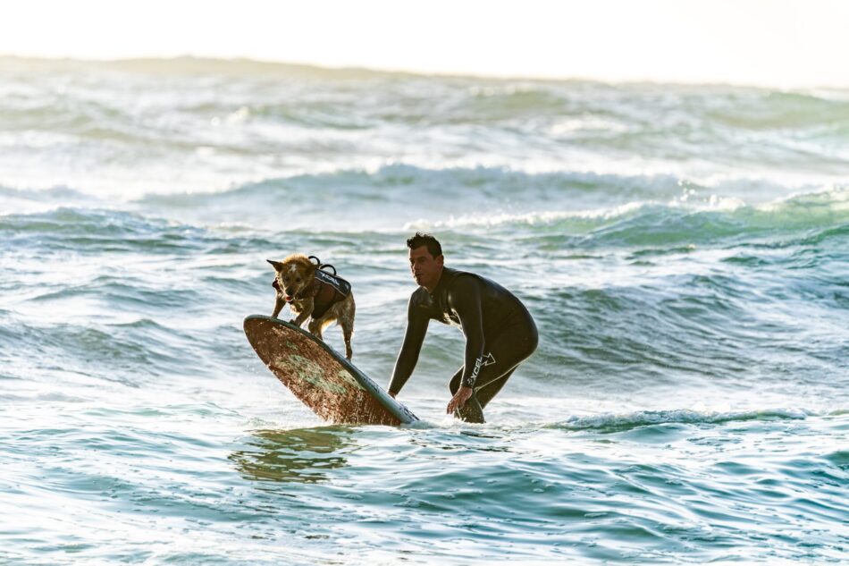 Surfing fun on the waves of New Smyrna Beach