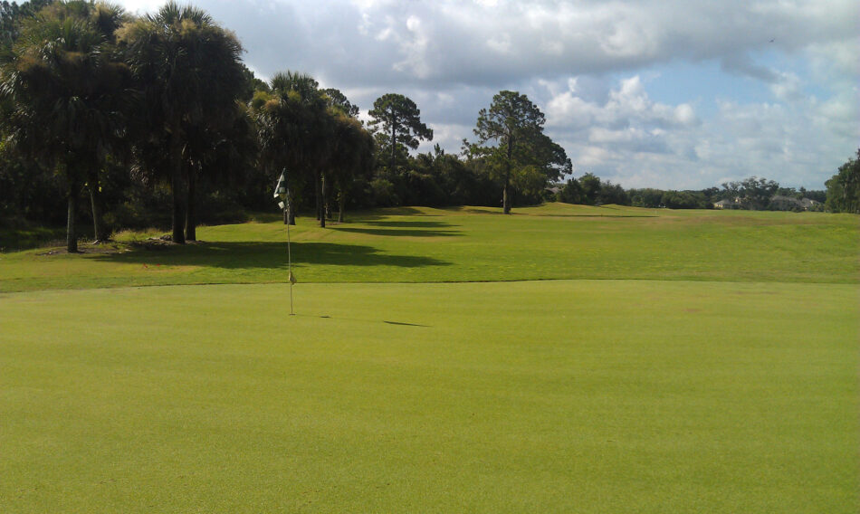Golfers enjoying a sunny day in Florida