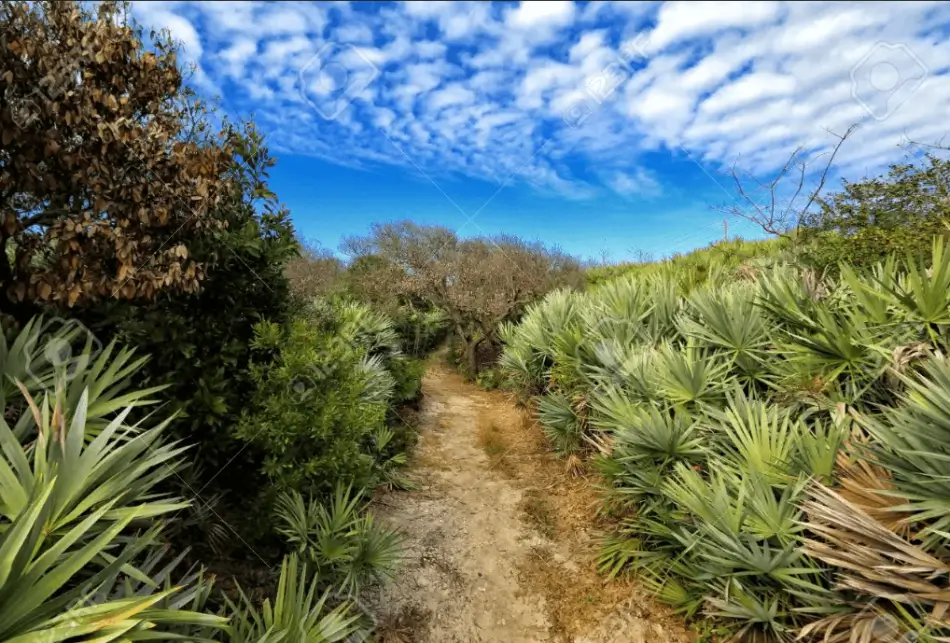 PoncePreserve 950x643 2
