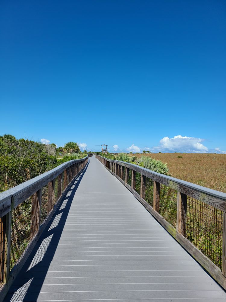 smyrna dunes park